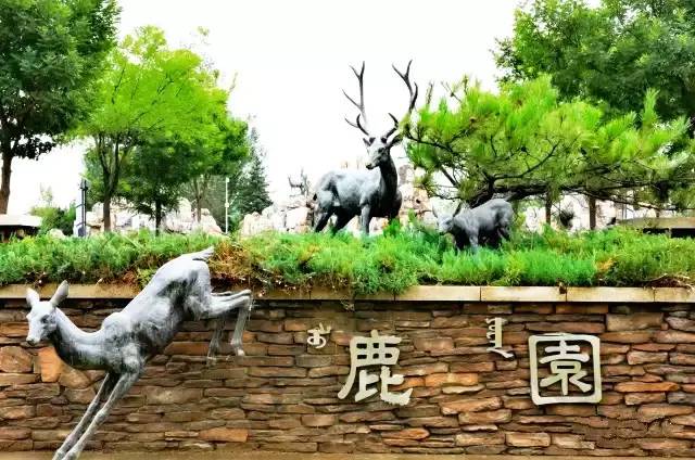 探秘包头最新公园，巷陌绿意与特色小店独特魅力