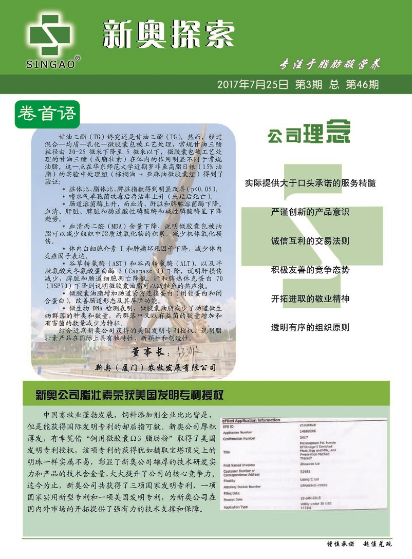 2025新奥资料免费精准051,调整方案执行细节_顶级款96.832