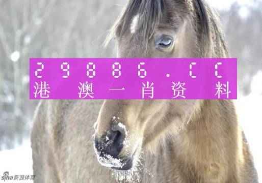 最准一肖一码100%澳门,最佳精选解释_ONJ94.89活跃版
