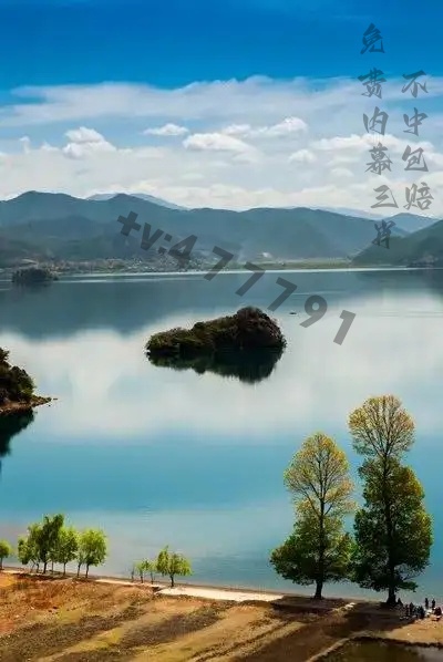 2025年新澳开奖结果,动态解读分析_AWG10.295艺术版