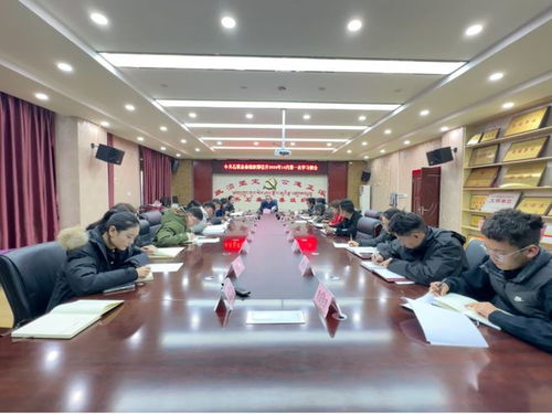 揭秘，中印边境局势新发展与最新动态（2025年11月17日）