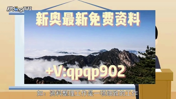 2025管家婆一码一肖资料，快速方案实施与执行 - DXC3.80.47交互版