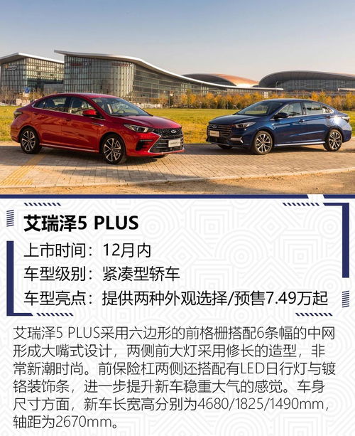 2025澳门今晚必开一肖332期,心机解答解释落实_RRA9.75