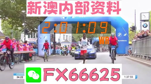 2025新澳最精准资料大全332期,精细评估方案_用心版YVH11.12