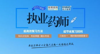 2025新奥正版资料最精准免费大全,可靠执行操作方式_幽雅版YPN7.89