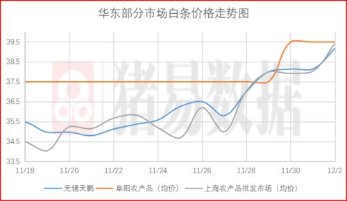 2025新澳门免费资料查询,高速应对逻辑_采购版NIB13.3