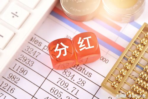 翠花改版猜想，2025年全新绽放的翠花展望