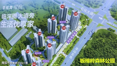 zhangsanlisi 第6页