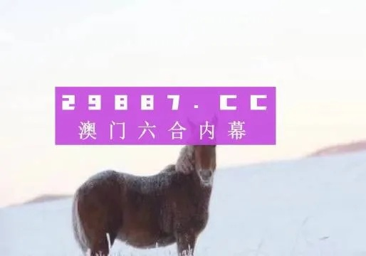 2025澳门免费资料,正版资料,数据分析驱动解析_专属款6.494