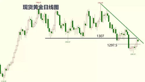 2025澳门特马今晚开什么,高速响应策略解析_豪华款7.452