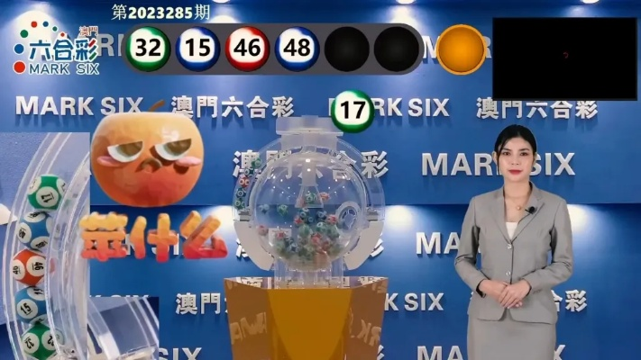 2025澳门六今晚开奖记录113期,全面数据策略实施_体验版6.649