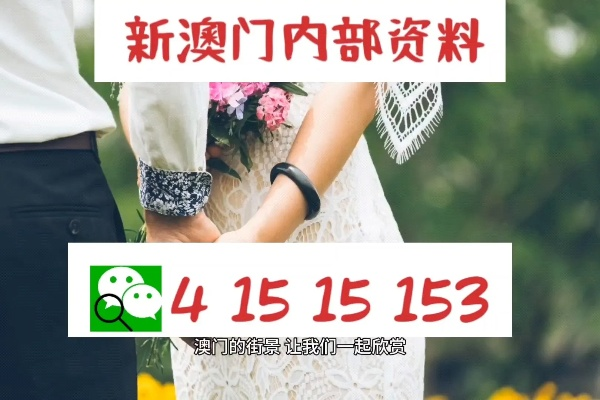 2025澳门免费资料,正版资料,可靠解析评估_soft5.670