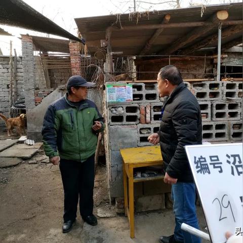 比赛荣誉卡助力成功之路，关键步骤详解