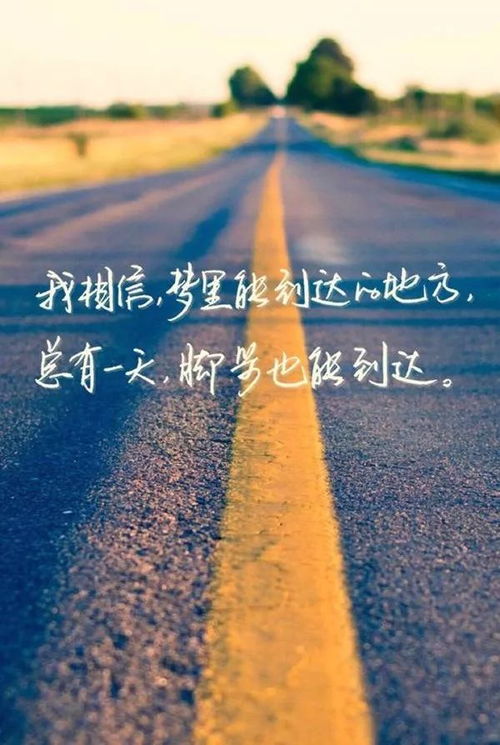 资料大全 第55页
