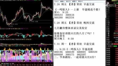 视频 第47页