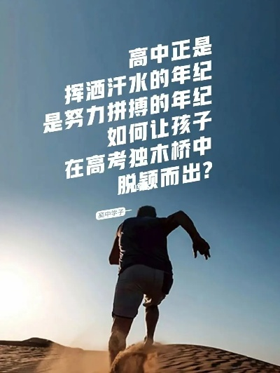 资料大全 第18页