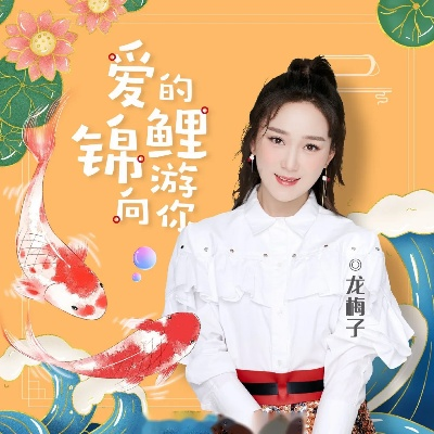 明星锦鲤莽子，跨界魅力与命运的闪耀之旅