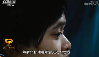 视频 第5页